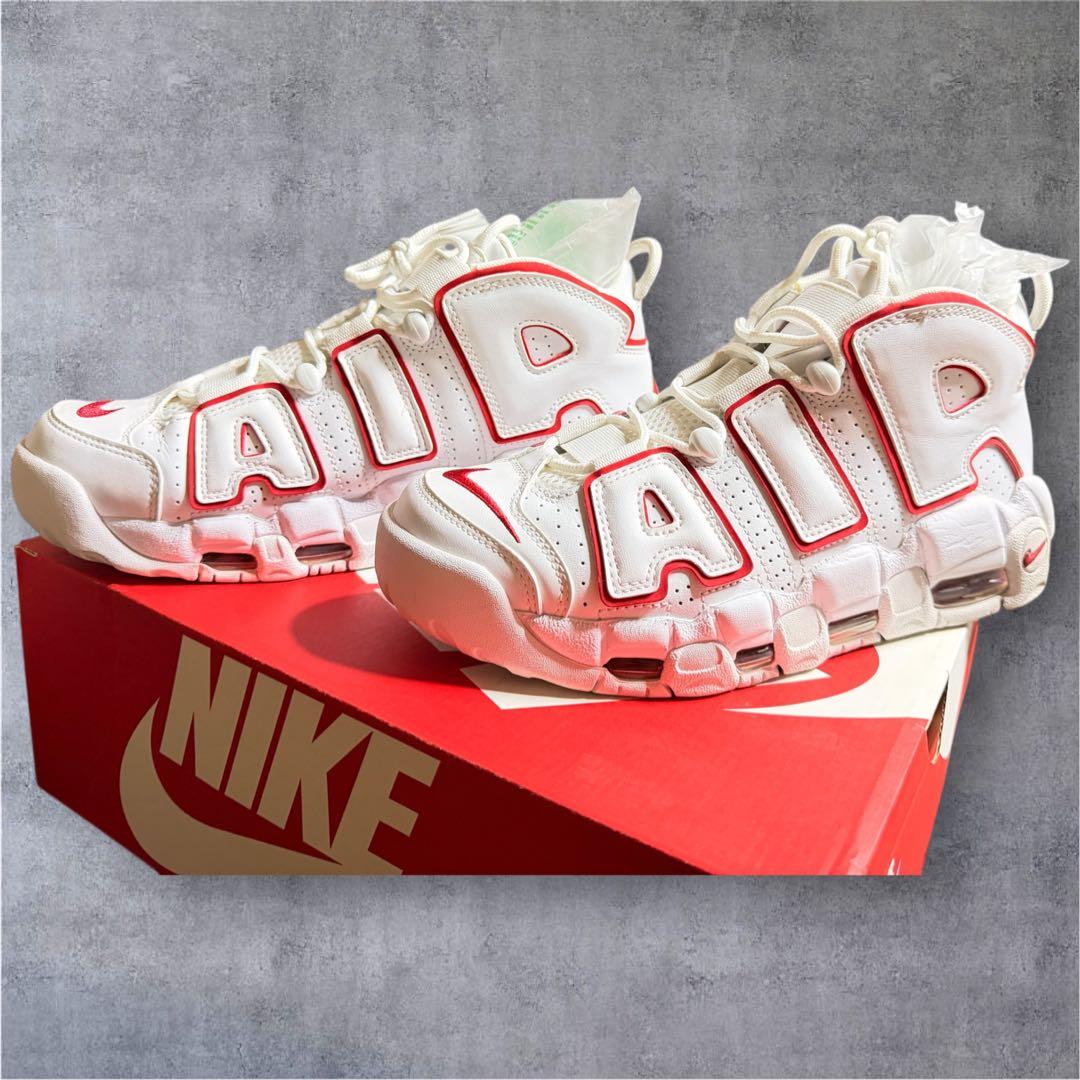 eま　NIKE モアテン　25.0