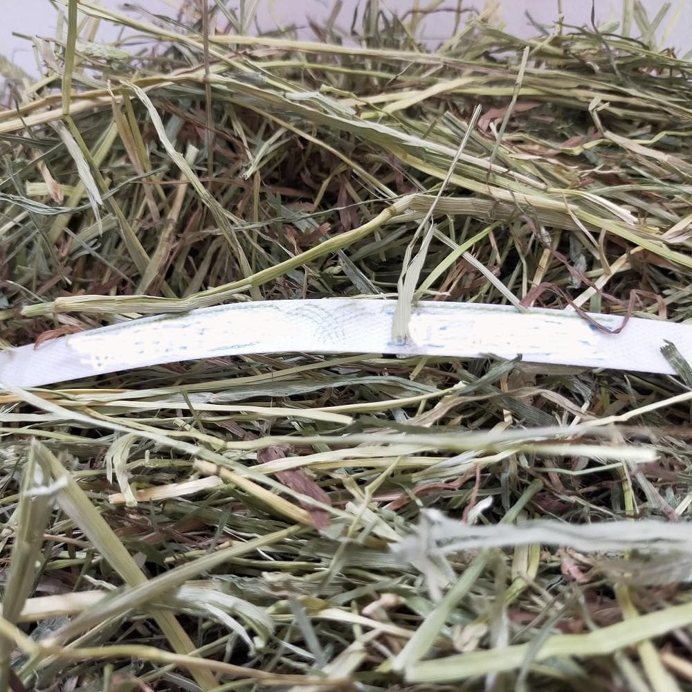 【3/23まで】US産 チモシー 30kg ２番刈 ソフトSプレミアム