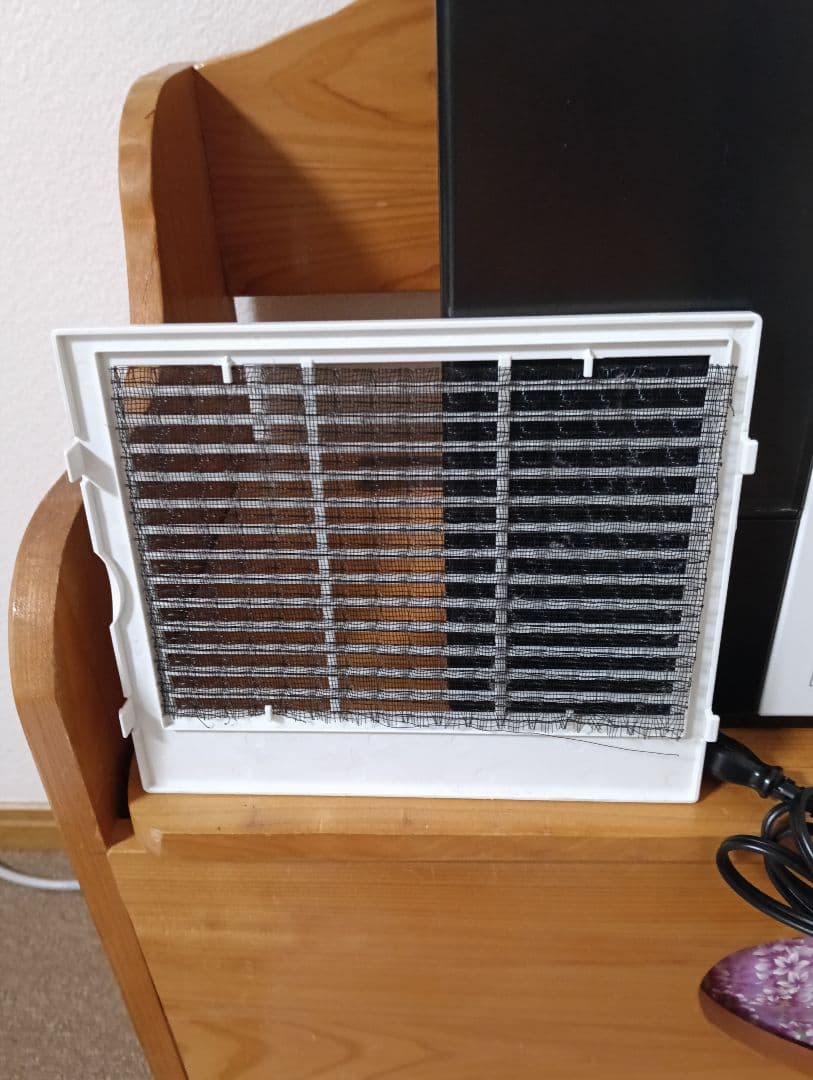 ダイニチプラス 加湿器 HD-RX324 24年製 美品 新品フィルター付き