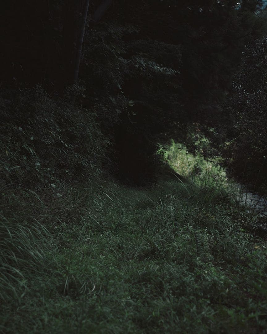 hasselblad F Planar 80mm f/2.8 美品 gfx