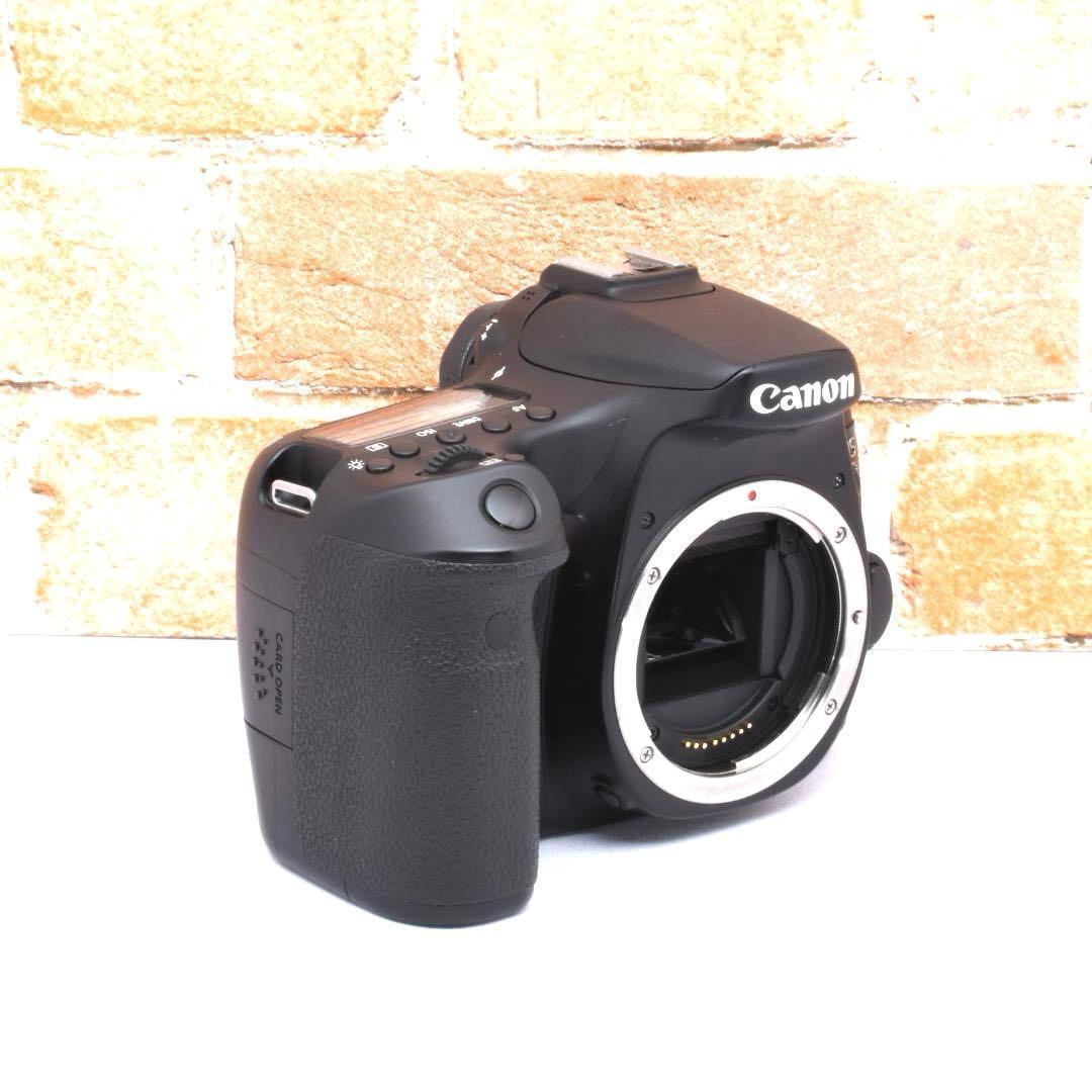 本格撮影✨Canon EOS 70D✨超望遠レンズつき✨一眼レフ入門セット