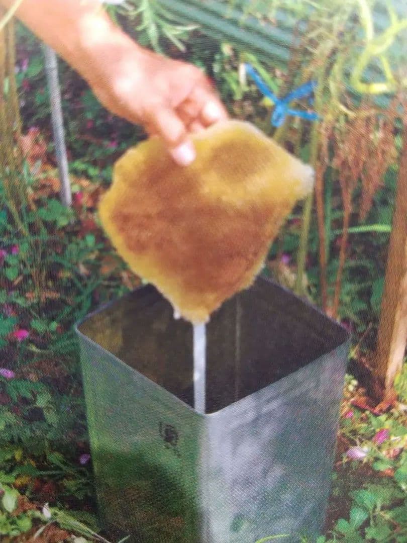 mondoです。 国産天然日本百花はちみつ鹿児島県南薩摩養蜂園蜂蜜計3kg