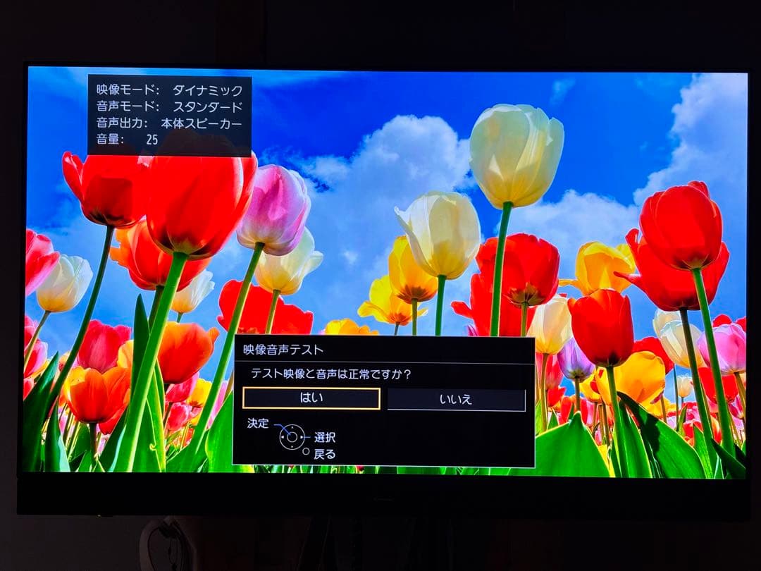 直接引取2万円引 Panasonic TH-55JZ2000 有機ELテレビ