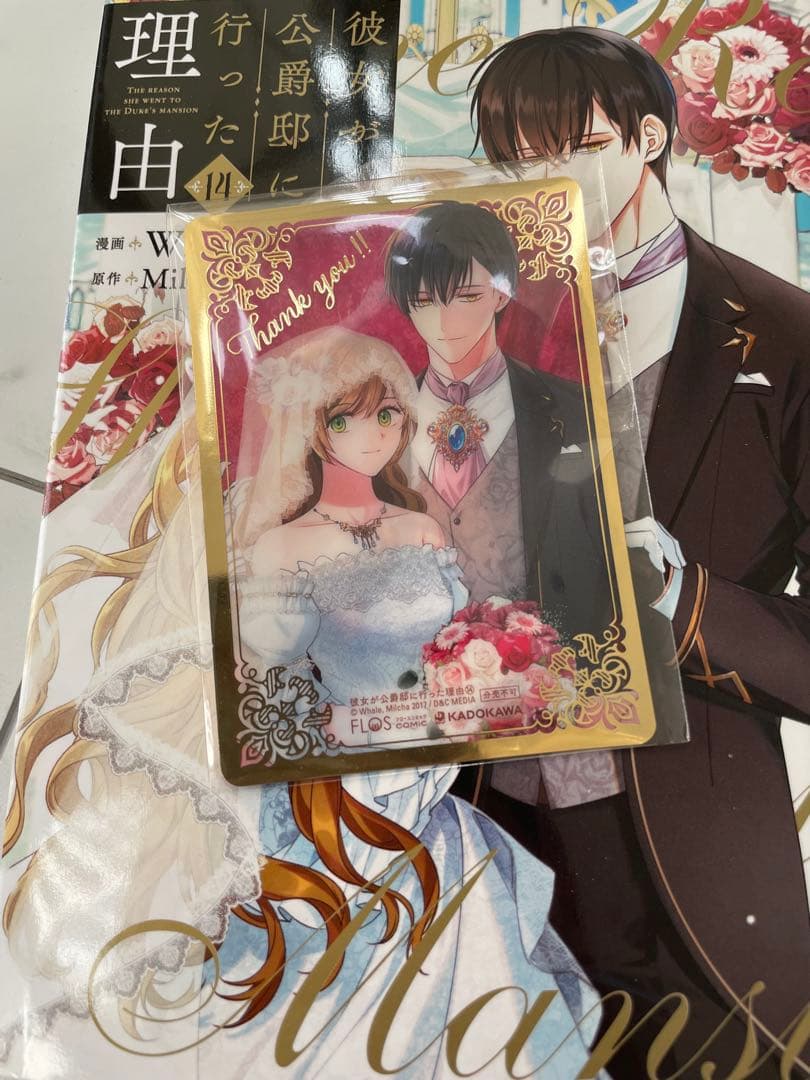 彼女が公爵邸に行った理由 1〜14巻　完結全巻