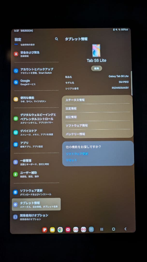 Samsung Galaxy Tab s6 lite 本体 sペン付き