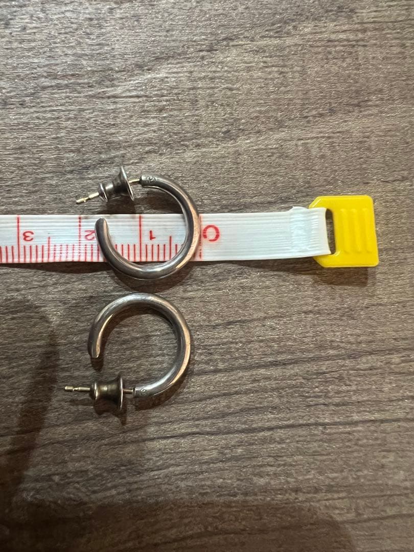 CAREERING PLACEBO 301 キャリアリング ピアス