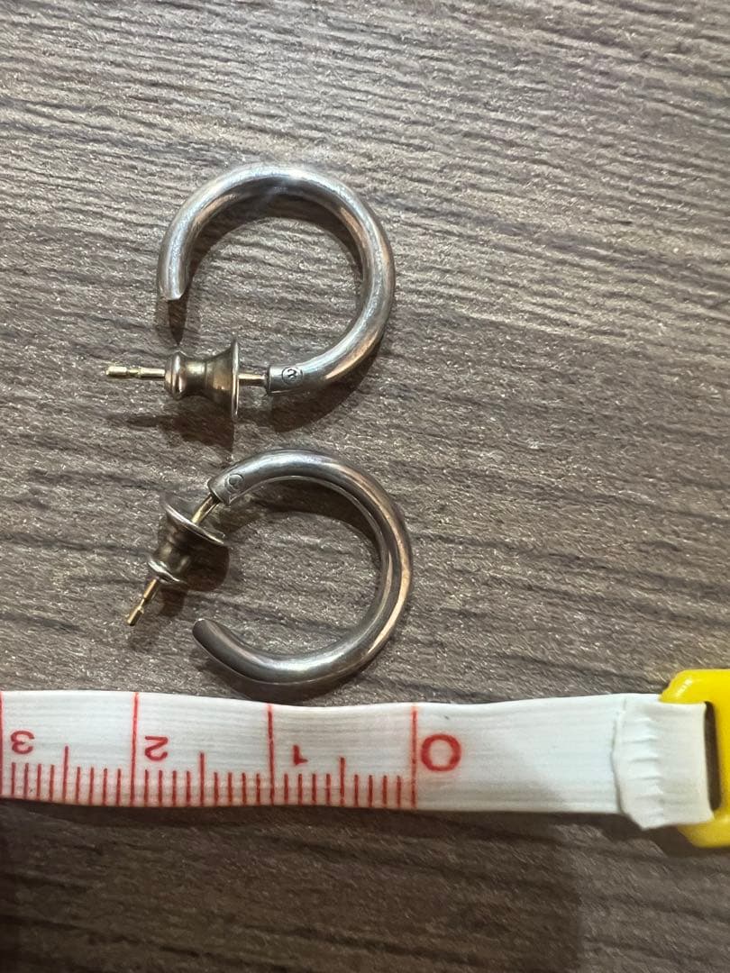 CAREERING PLACEBO 301 キャリアリング ピアス