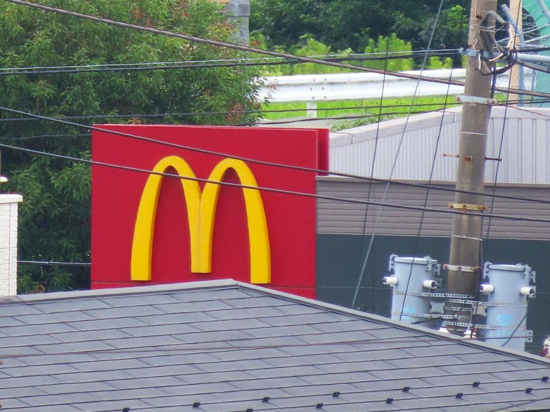 デジタルカメラ CANON Power Shot SX HS