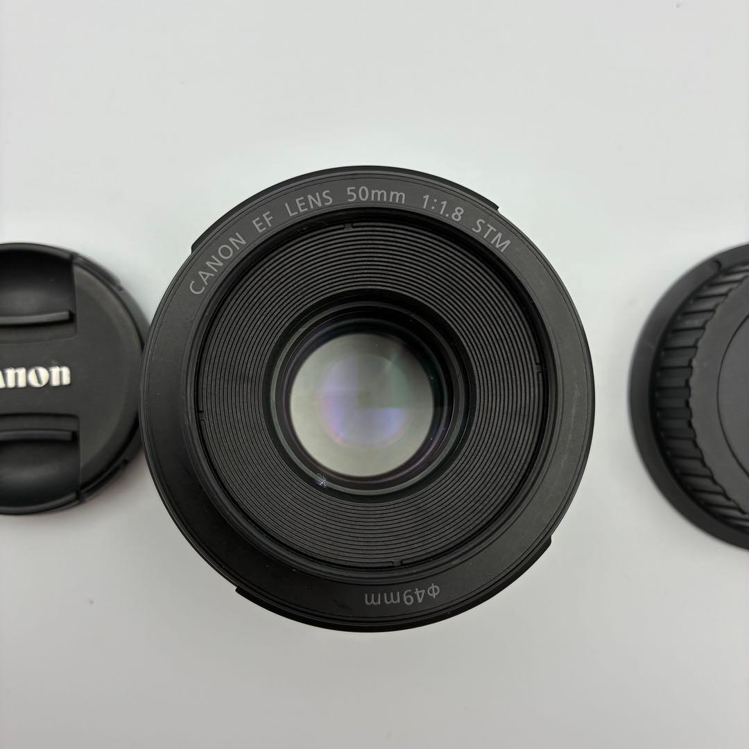 ⭐︎美品⭐︎ Canon EF 50mm f/1.8 STM ポートレート　単焦点