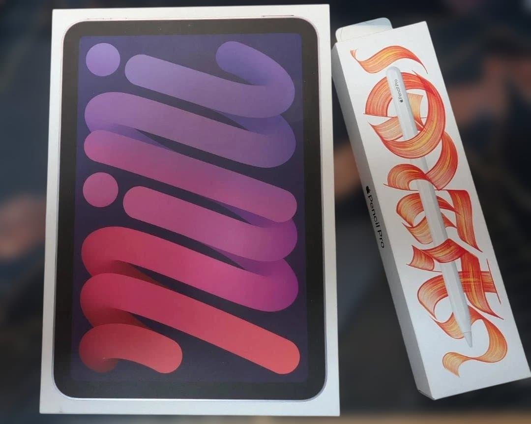 Apple iPad mini (第7世代) 256GB Cellerモデル＋α