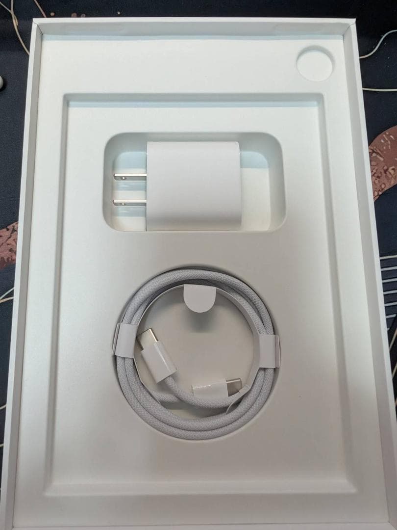 Apple iPad mini (第7世代) 256GB Cellerモデル＋α