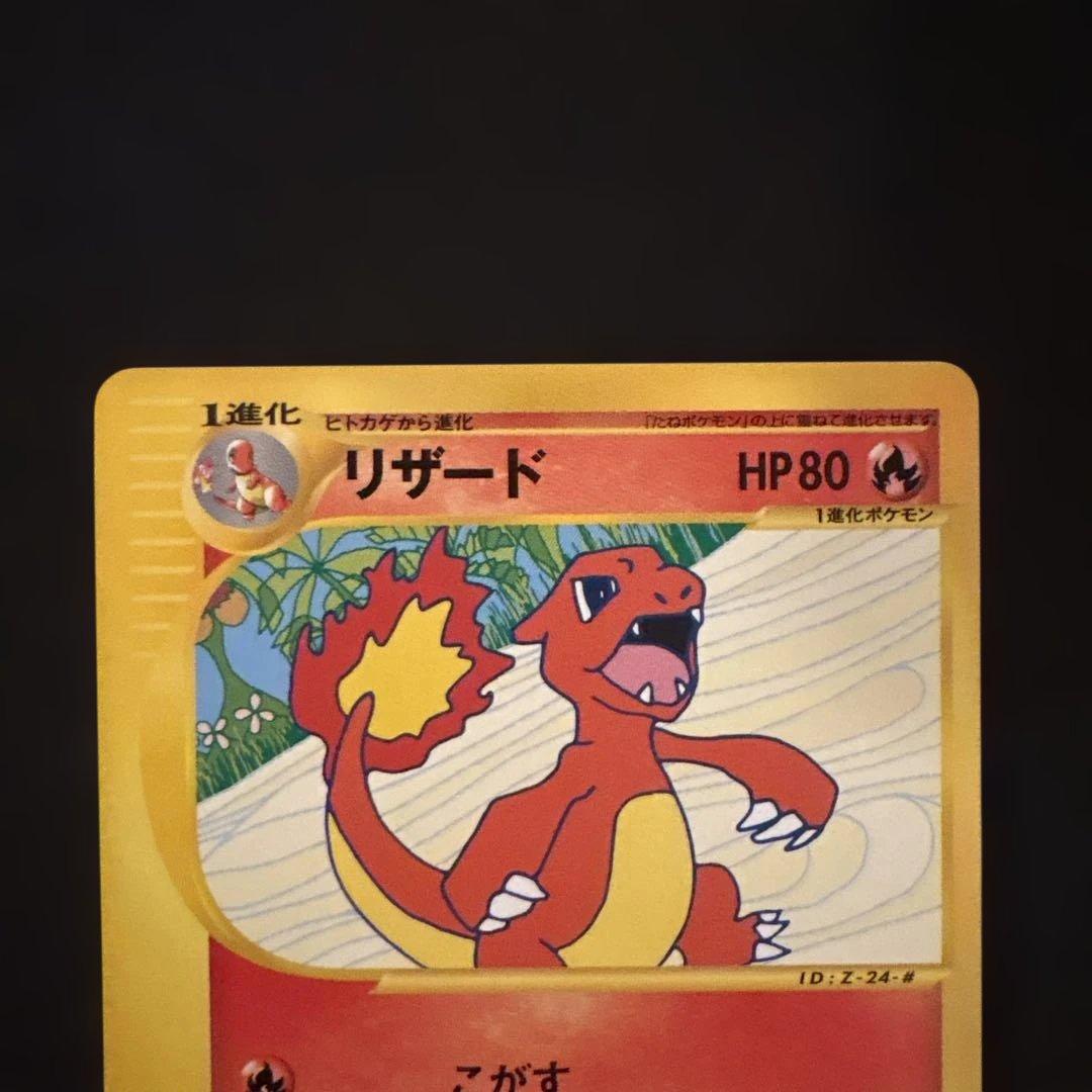 リザード・カメール・トレーナーズマガジンプロモまとめ売