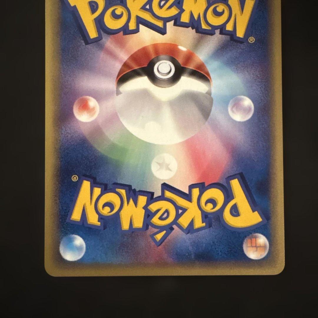 リザード・カメール・トレーナーズマガジンプロモまとめ売