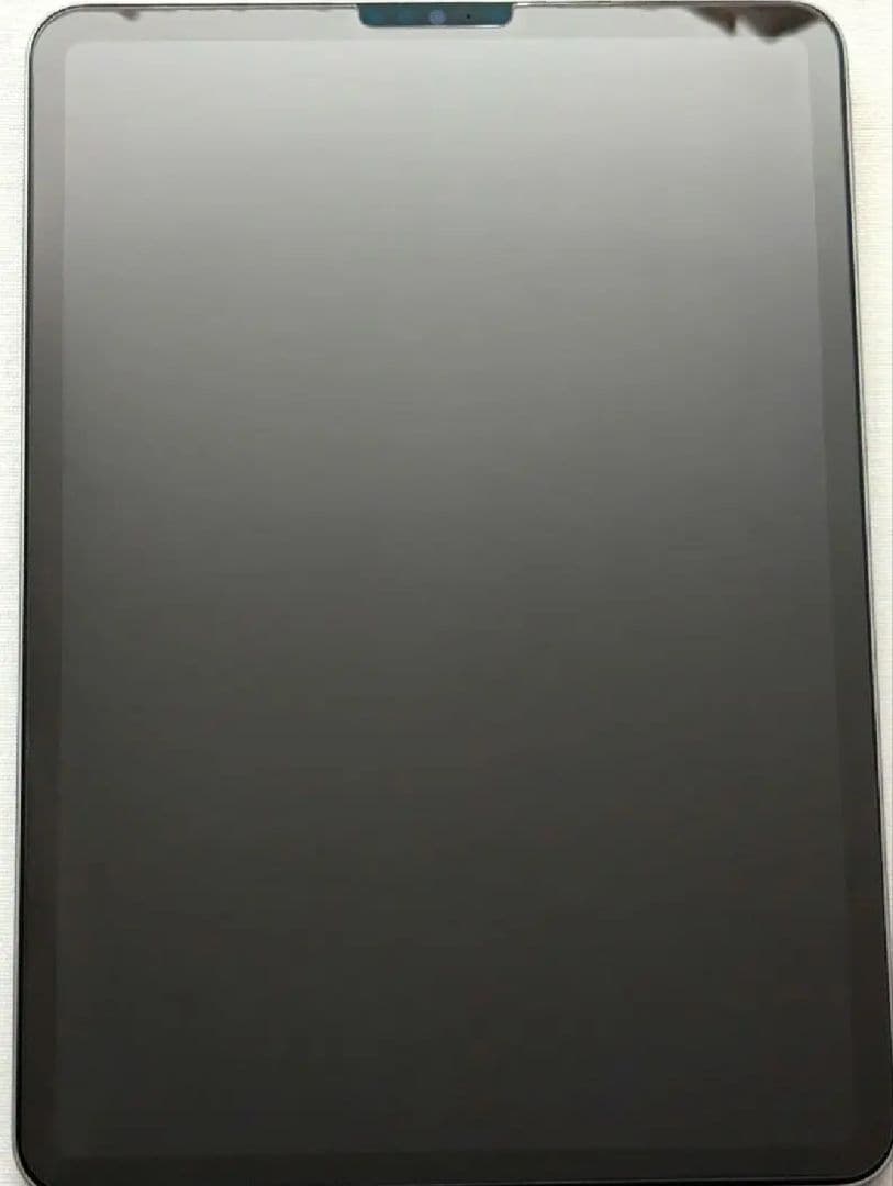 数回使用Apple iPad Pro 11インチ 第4世代 256GB シルバー