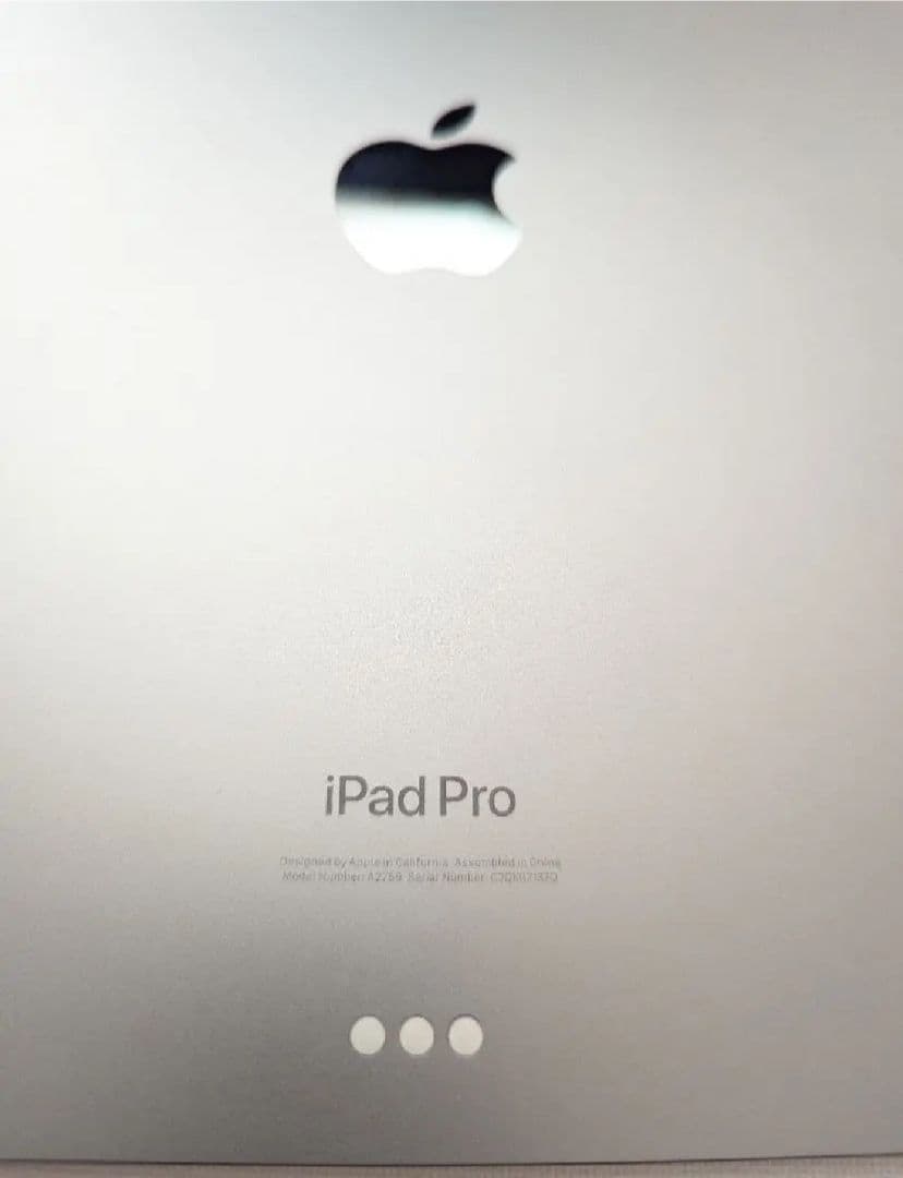 数回使用Apple iPad Pro 11インチ 第4世代 256GB シルバー