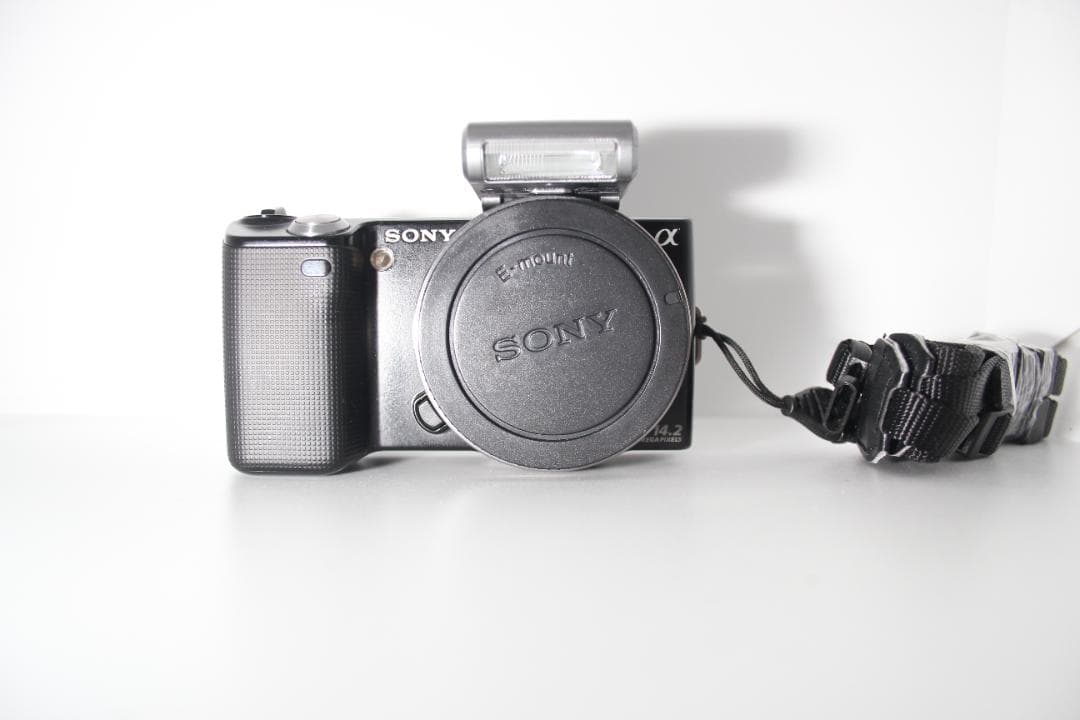 動作OK Sony nex-5 充電器　フラッシュ付き