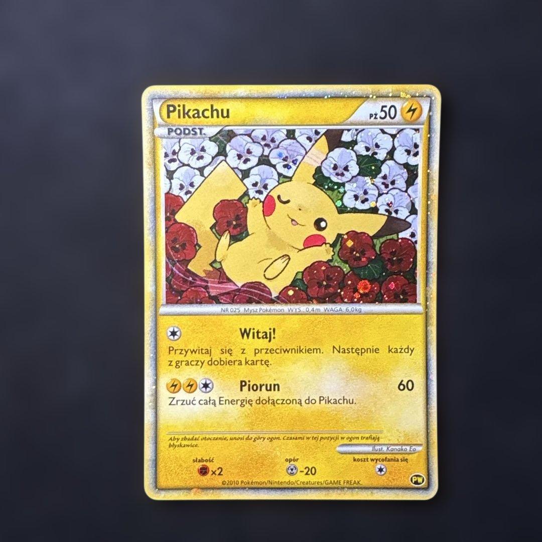 ピカチュウワールド　ピカチュウ　ポーランド