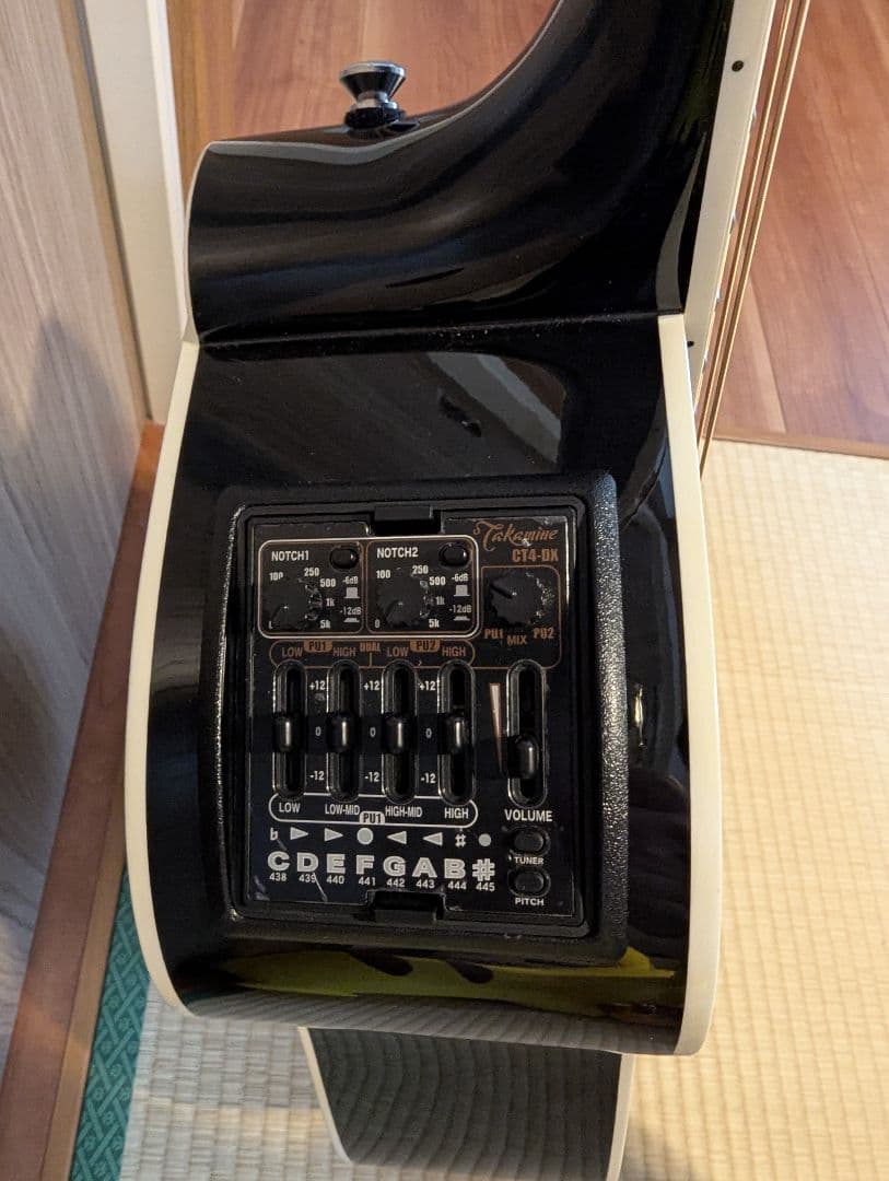Takamine アコースティックギター ブラック
