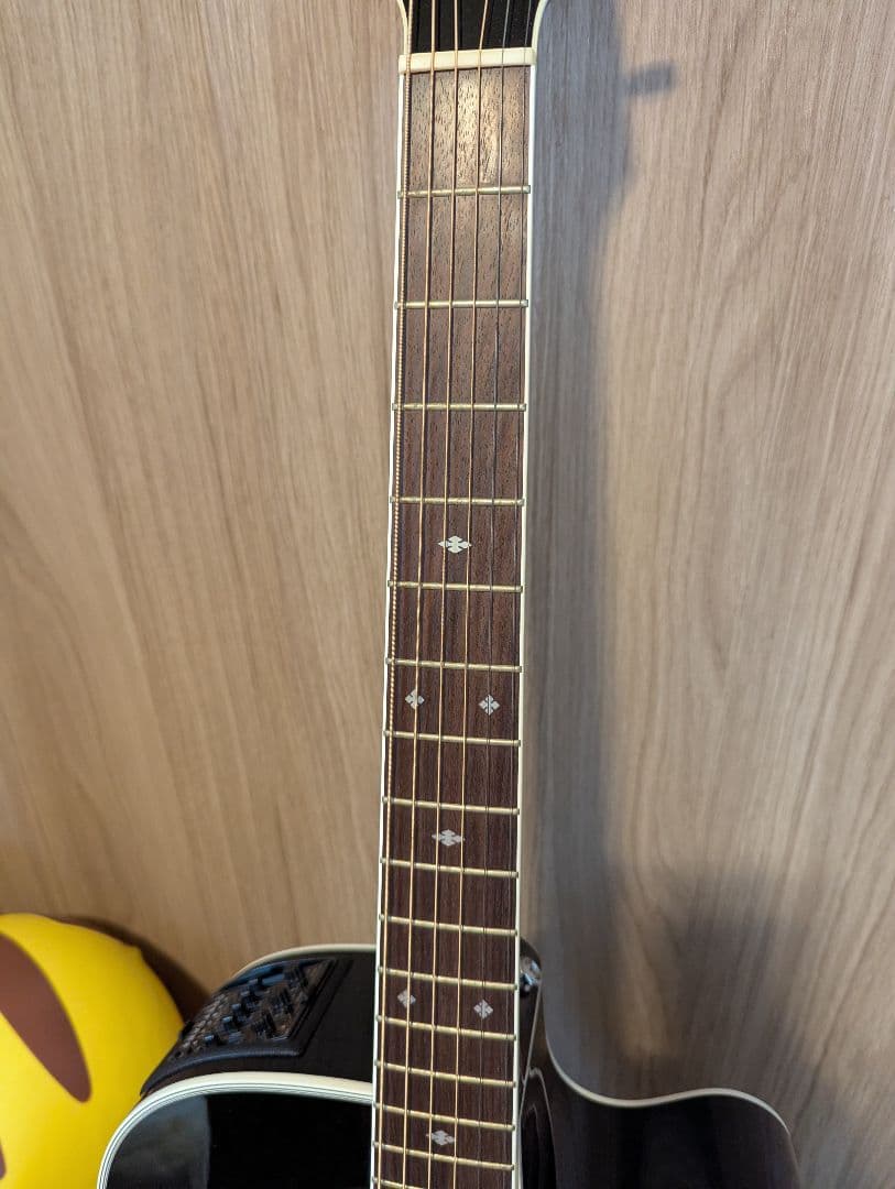 Takamine アコースティックギター ブラック