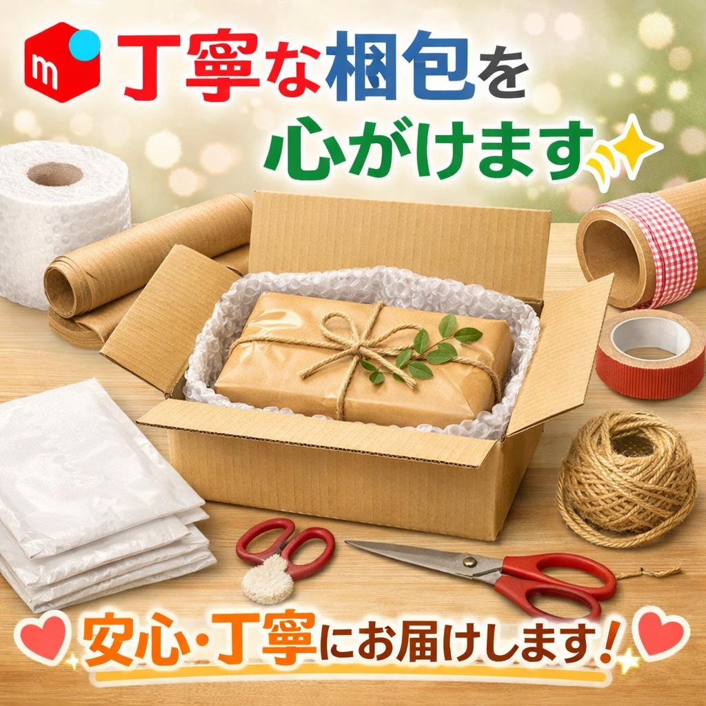 AKPIANハンドヘルドスチームクリーナー、洗浄用スチーム機、ポータブル多機aa