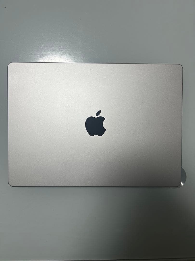 しまうまとくじら