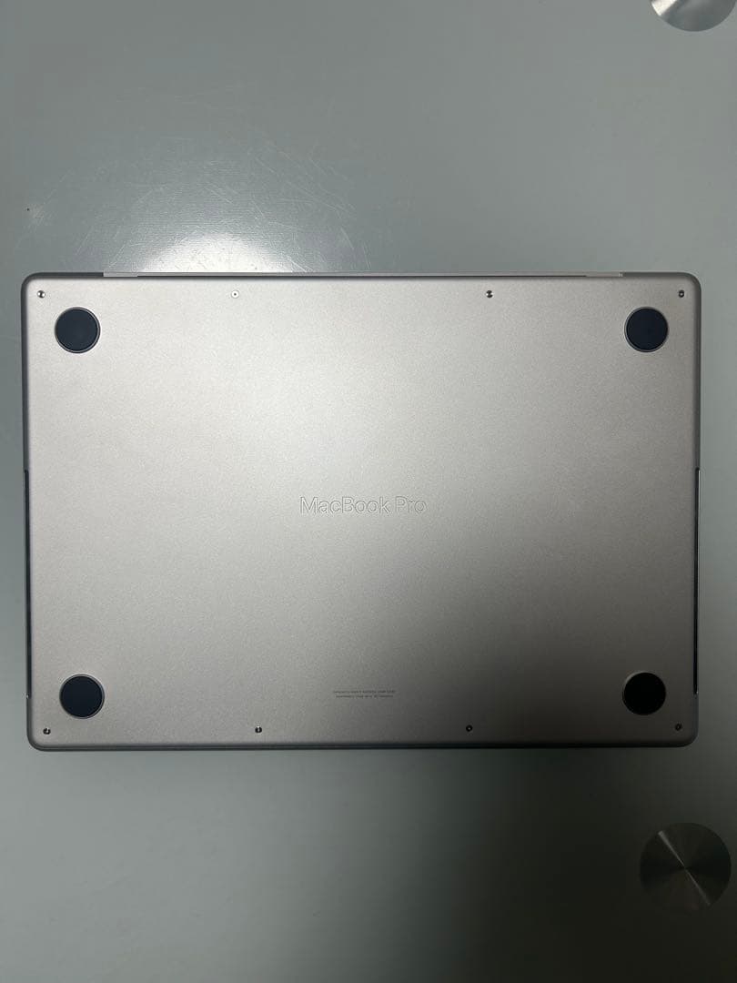 しまうまとくじら