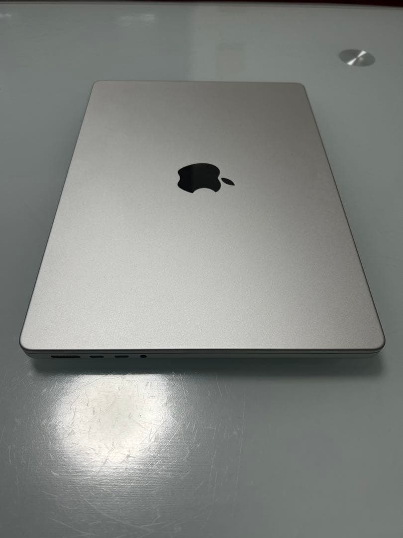 しまうまとくじら