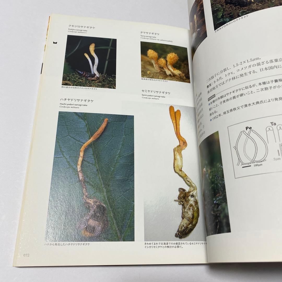冬虫夏草生態図鑑 採集・観察・分類・同定、効能から歴史まで 240種類