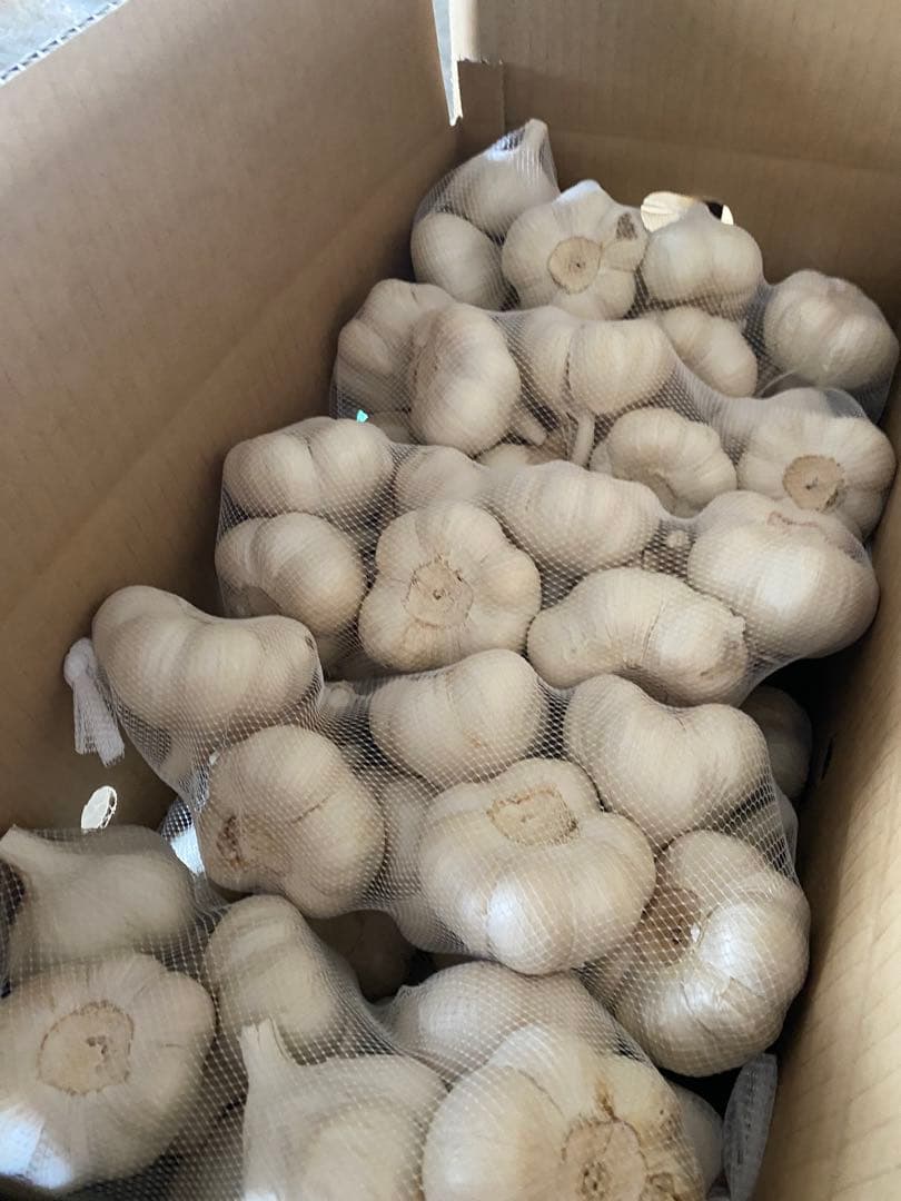 青森県にんにく4Kg L