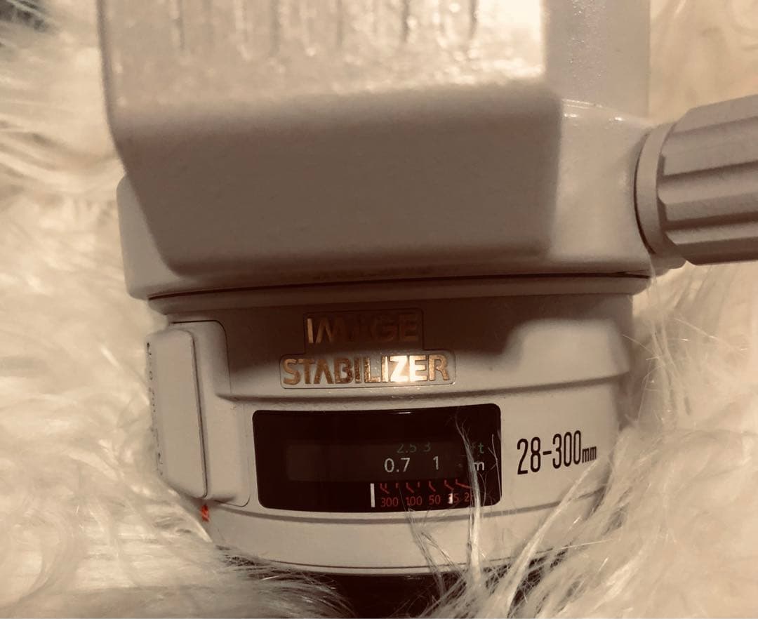 canonキヤノンEF28-300mm f3.5-5.6L IS 販売終了品