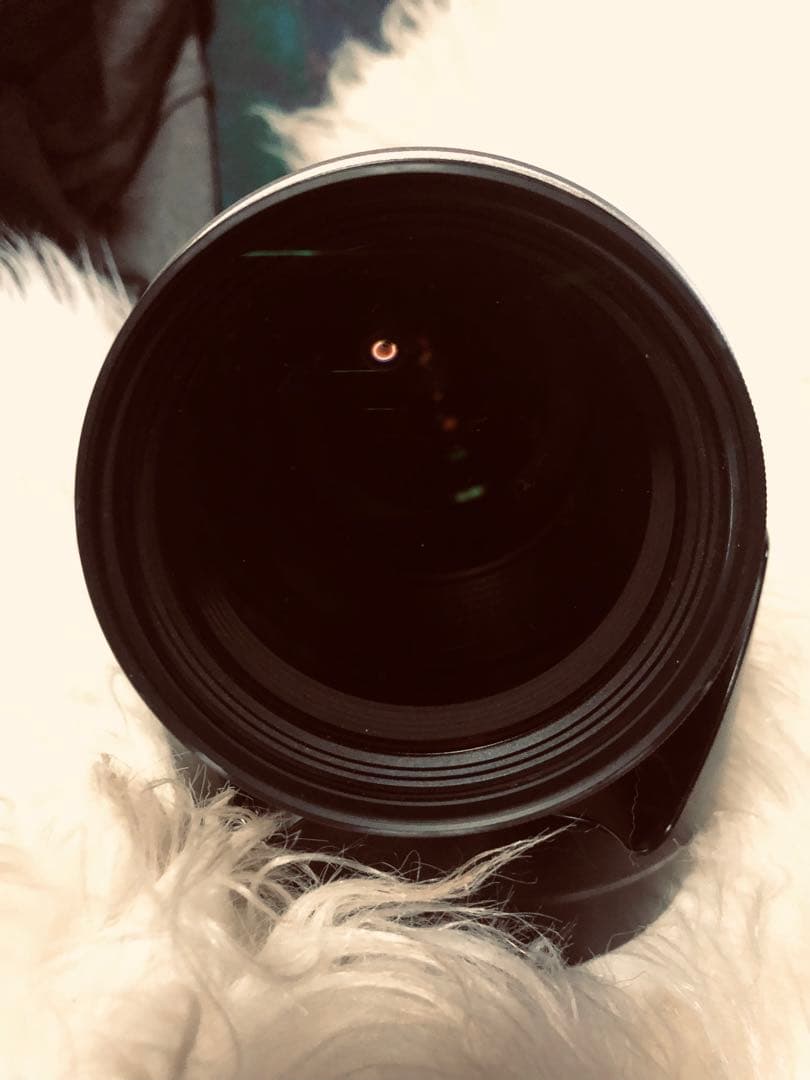 canonキヤノンEF28-300mm f3.5-5.6L IS 販売終了品