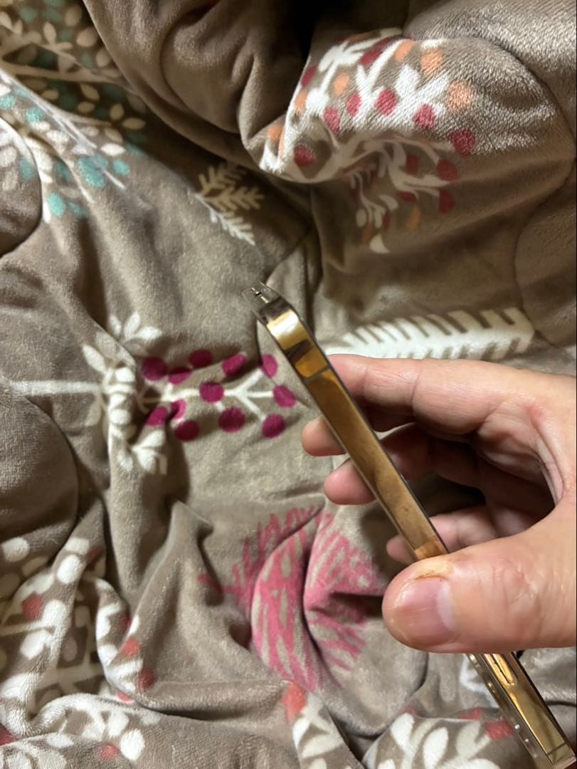 あゆみさん専用Apple iPhone 12 Pro Maxゴールド