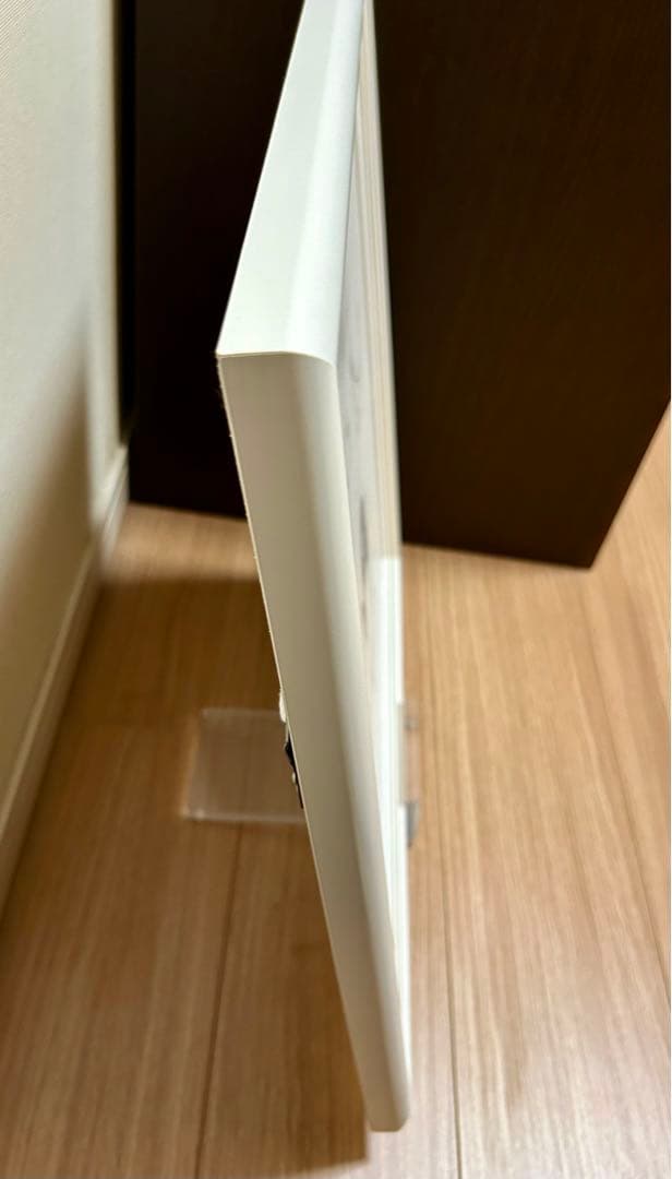 ペンギンとカモメ　坂崎千春　さかざきちはる　版画