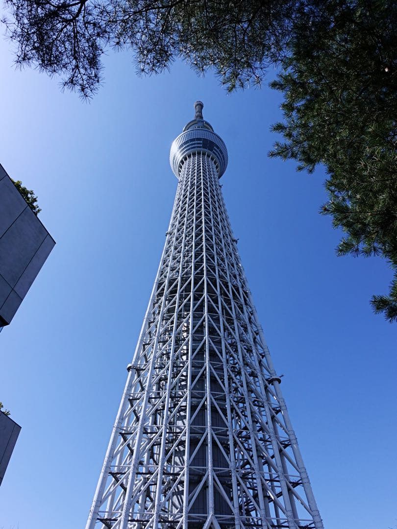 【付属品多数極美品】SONY RX100M5+ワイド&マクロコンバージョンレンズ