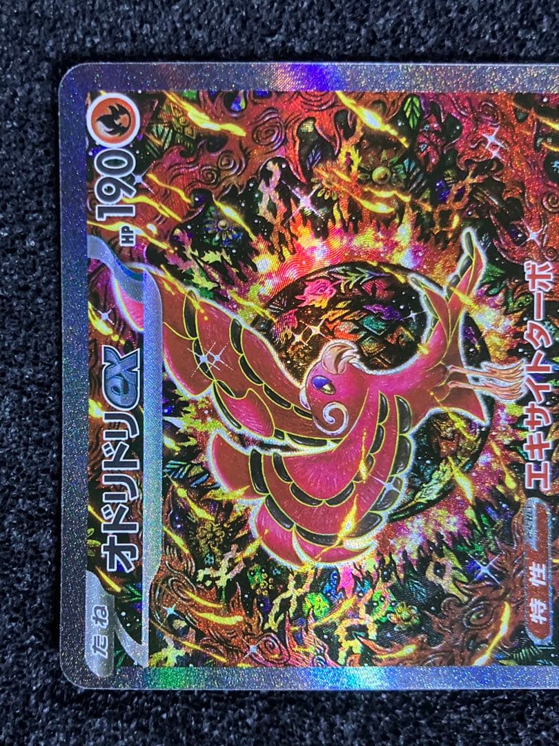 カンダシンジさん 担当イラスト 3種 3枚 まとめ売りセット　コイキングAR 他