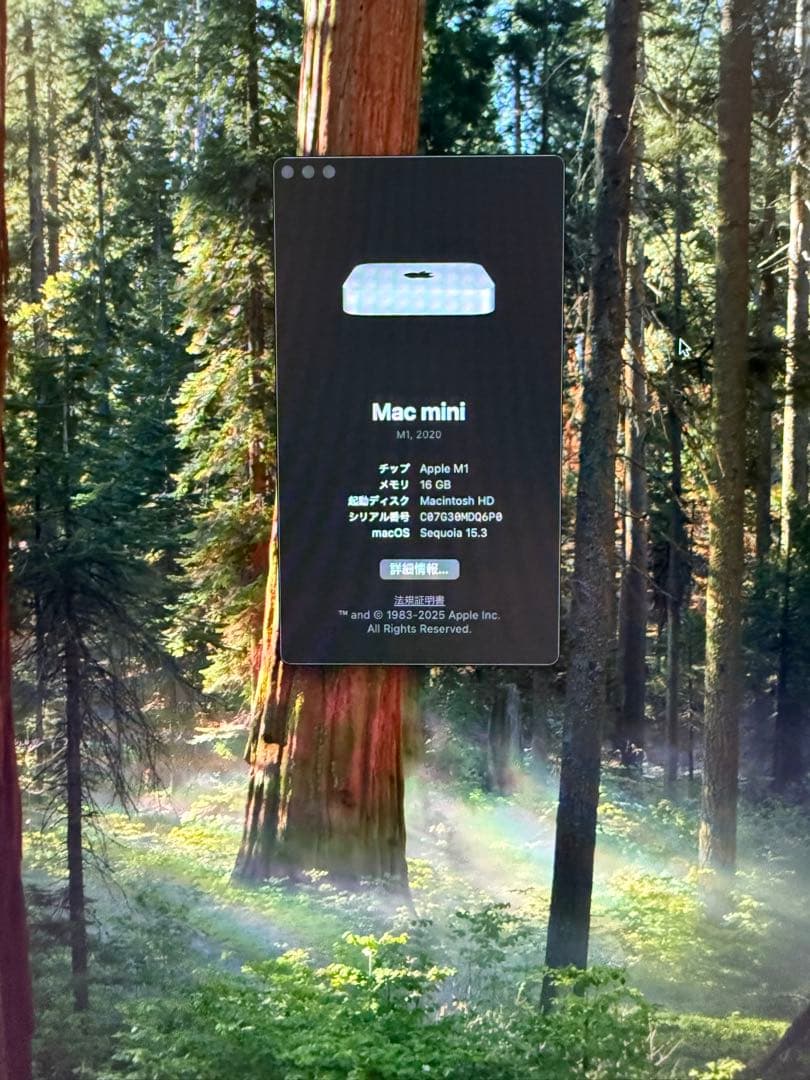 Mac mini M1 メモリ16GB SSD512GB