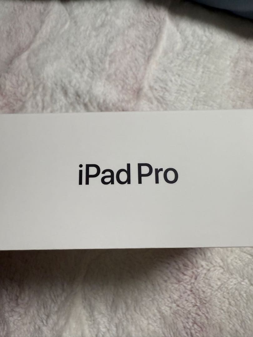 Apple iPad Pro（M4) 13インチ Wi-fiモデル 512GB