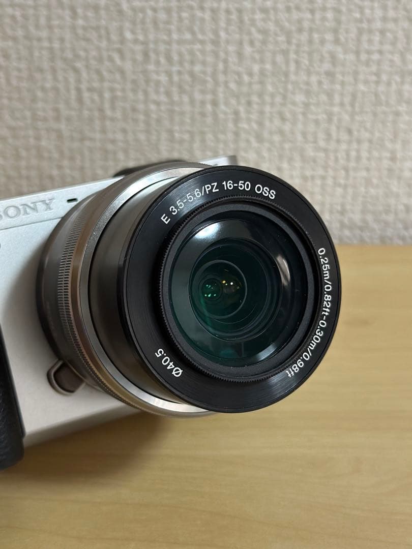 SONY α6000 ダブルズームレンズキットILCE-6000Y 動作品