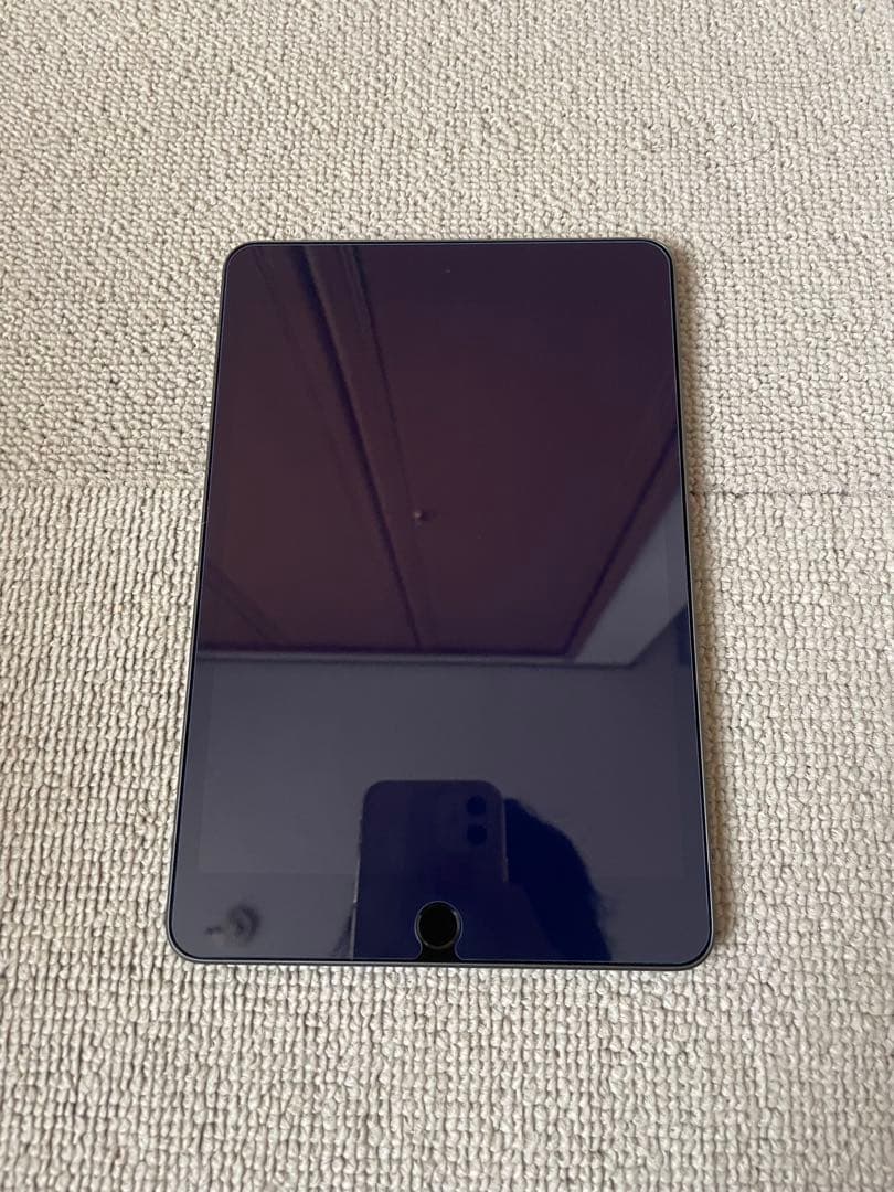 iPad本体 Apple iPad mini5