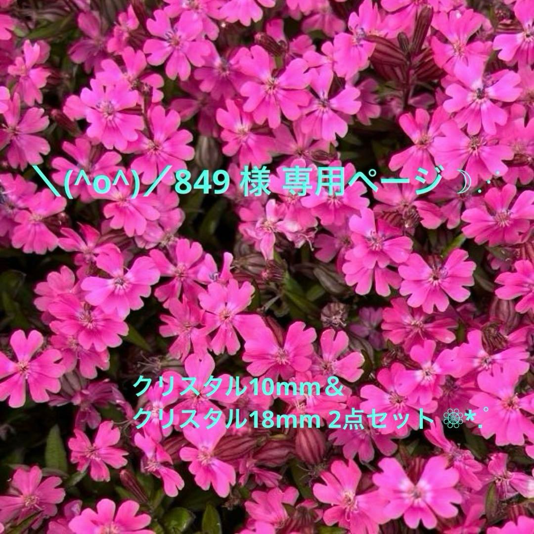 ＼(^o^)／849 ページ☽⋰