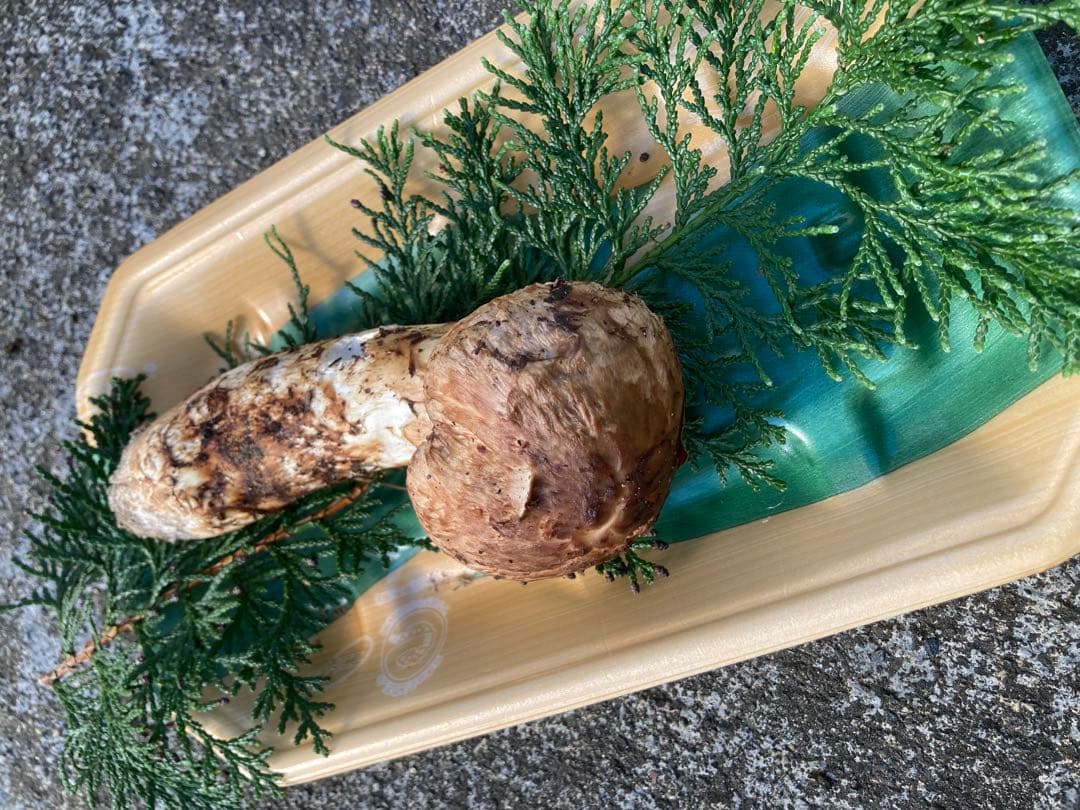 松茸　雑キノコセット　鍋やすき焼きの具材にどうぞ