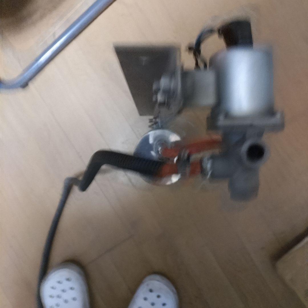 キッシュバルブ