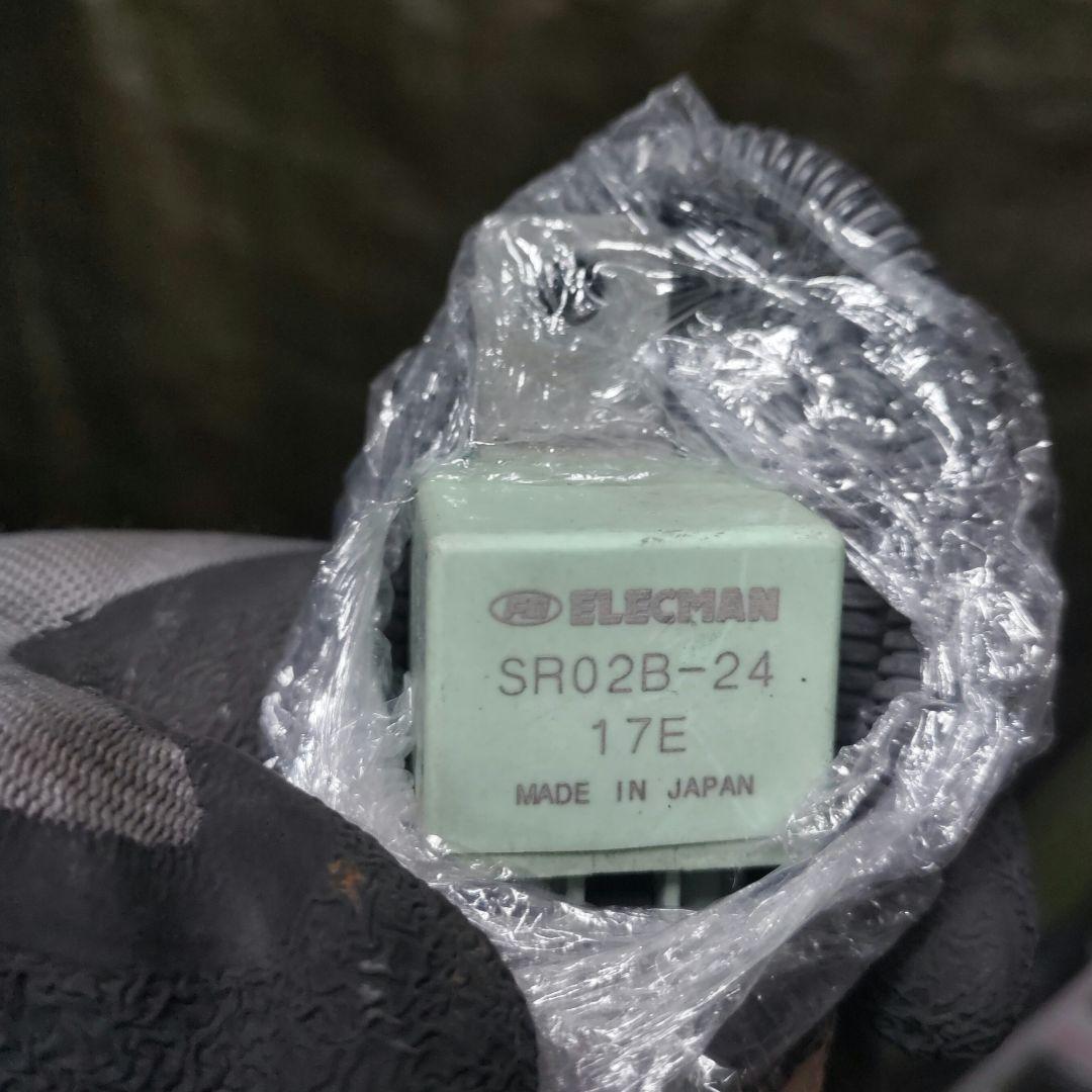 キッシュバルブ