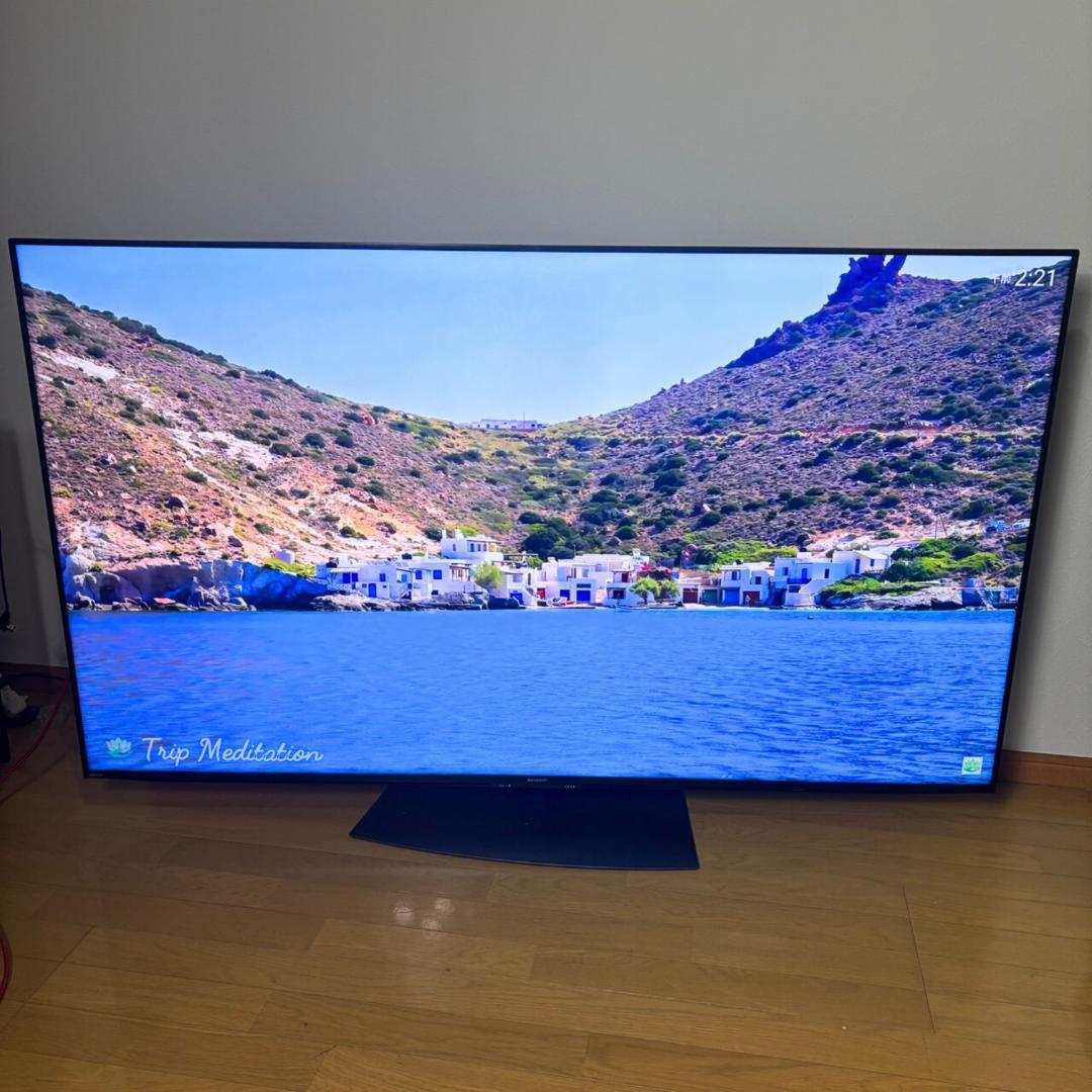 【直渡割引】SHARP AQUOS 4K 液晶テレビ 4T-C65DN1 65型