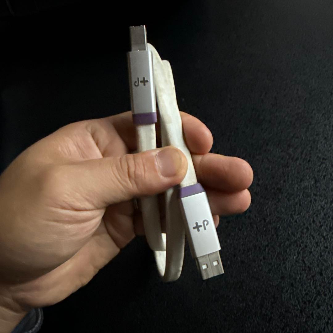 DTM・DAW RME Babyface Pro + OYAIDE d+USB ClassS