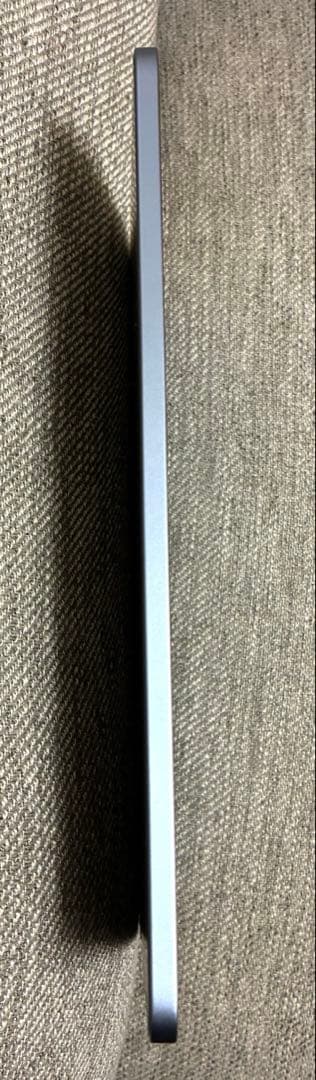 iPad Air 第4世代　256GB Wi-Fiモデル（スカイブルー）