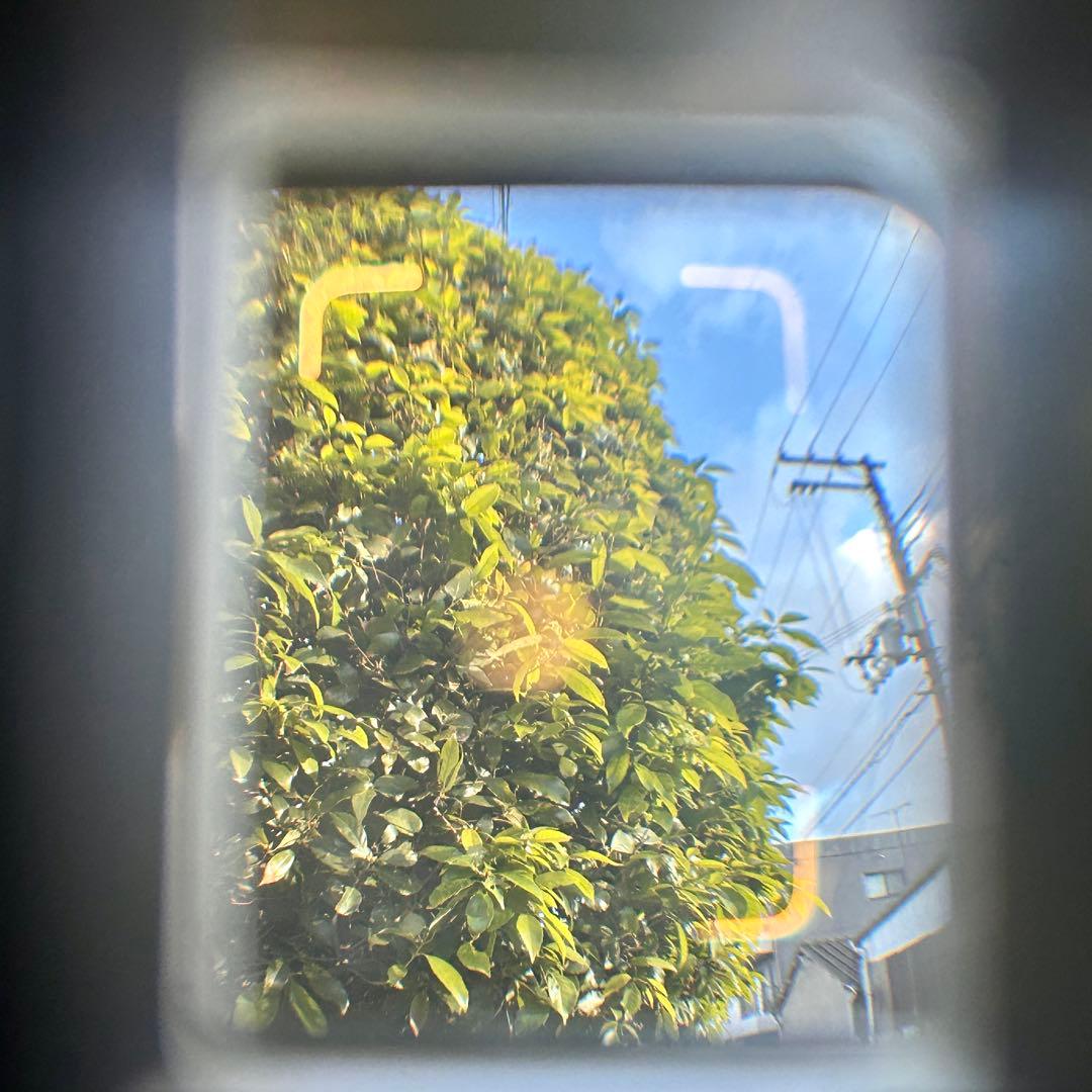 Ricoh auto half SE オートハーフ　メンテナンス完了品