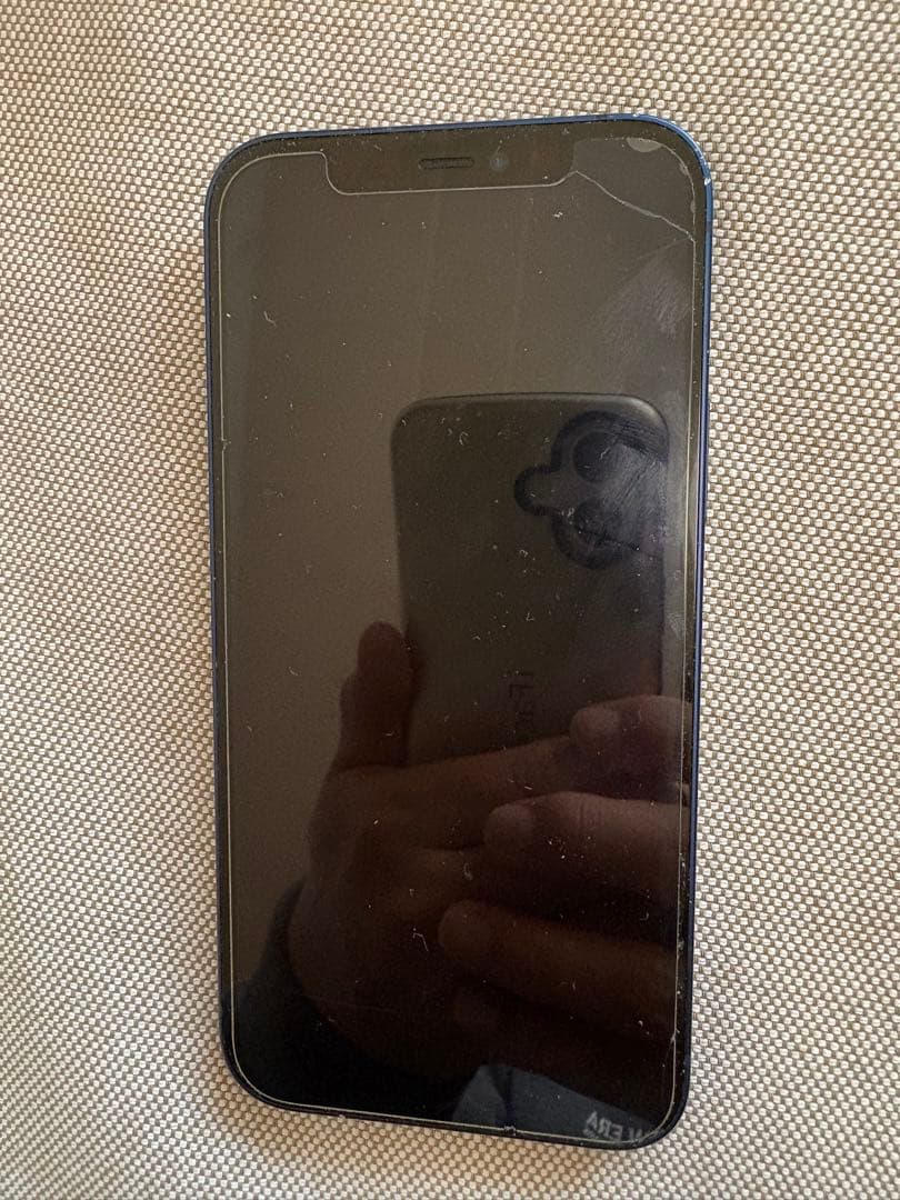 Apple iPhone 12 ブルー　初期化済　本体のみ　SIMロック解除済