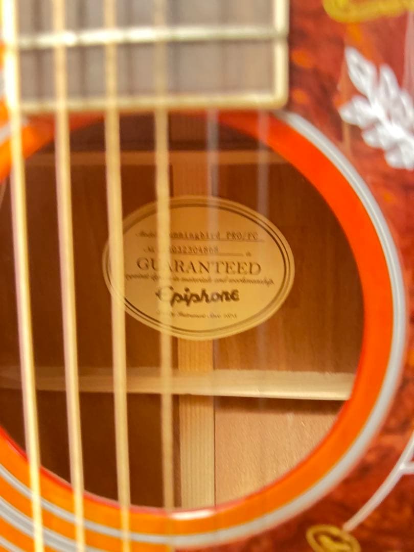 エピフォン　エレアコ　Hummingbird PRO ソフトケース付