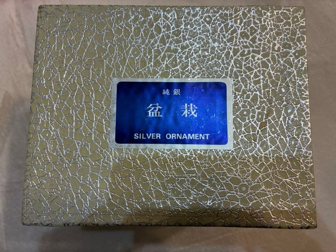 メ*ル様 純銀製 光則作 盆栽 特小号「松」ガラスケース・紙箱付き